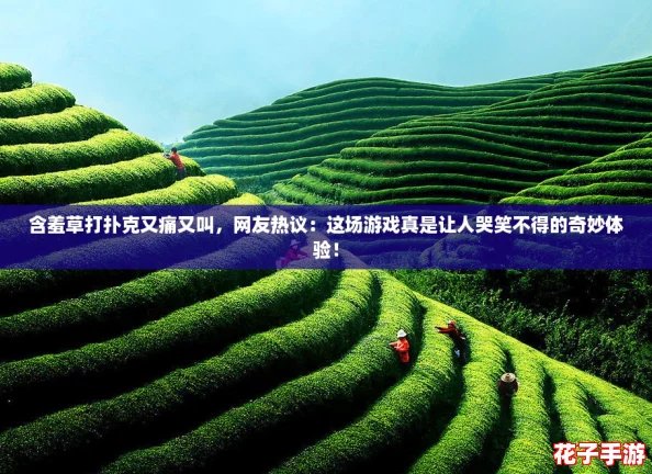 含羞草打扑克又痛又叫，网友热议：这场游戏真是让人哭笑不得的奇妙体验！