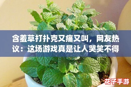 含羞草打扑克又痛又叫，网友热议：这场游戏真是让人哭笑不得的奇妙体验！