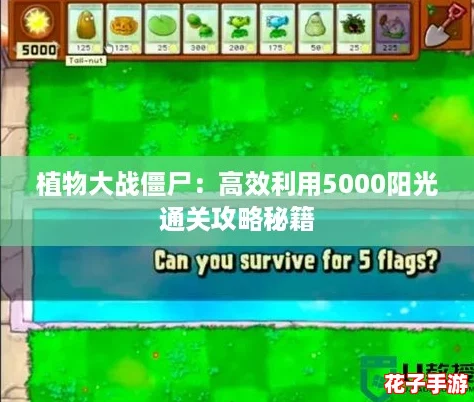 植物大战僵尸：高效利用5000阳光通关攻略秘籍