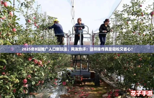 2025年B站推广入口新玩法，网友热评：这样操作真是轻松又省心！