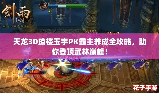 天龙3D琼楼玉宇PK霸主养成全攻略，助你登顶武林巅峰！
