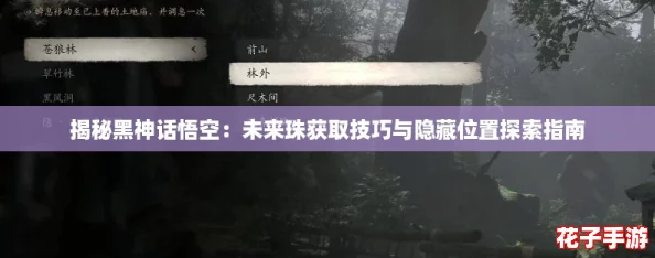 揭秘黑神话悟空：未来珠获取技巧与隐藏位置探索指南