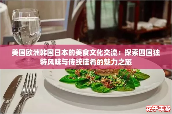 美国欧洲韩国日本的美食文化交流：探索四国独特风味与传统佳肴的魅力之旅