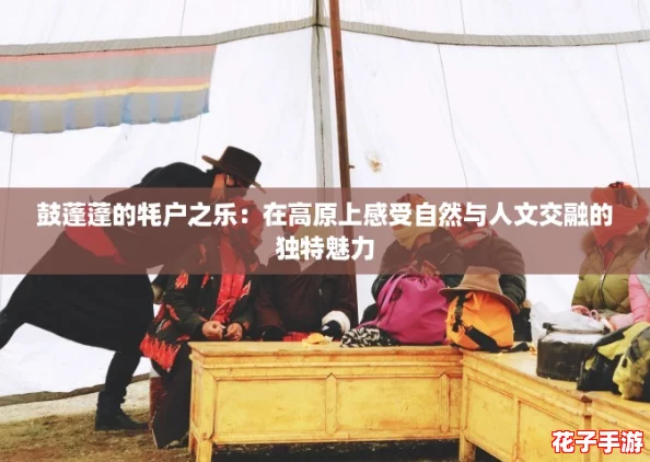 鼓蓬蓬的牦户之乐:在高原上感受自然与人文交融的独特魅力 鼓蓬蓬的牦户之乐:在高原上感受自然与人文交融的独特魅力
