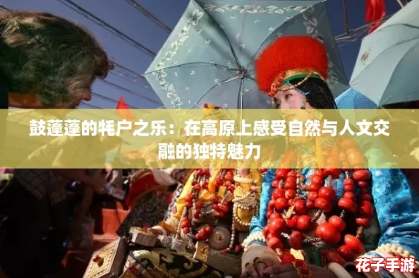 鼓蓬蓬的牦户之乐:在高原上感受自然与人文交融的独特魅力 鼓蓬蓬的牦户之乐:在高原上感受自然与人文交融的独特魅力