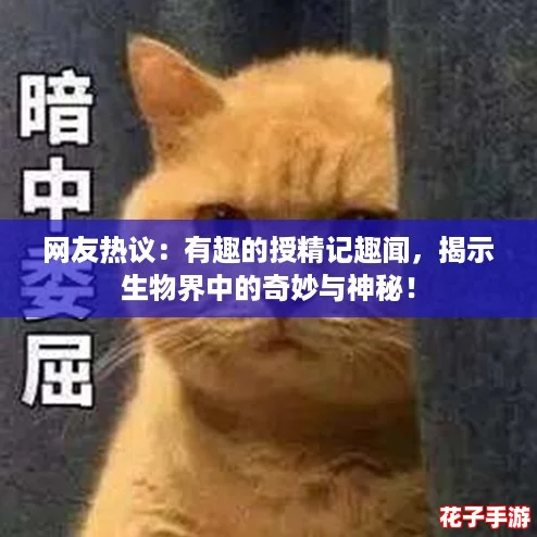 网友热议：有趣的授精记趣闻，揭示生物界中的奇妙与神秘！