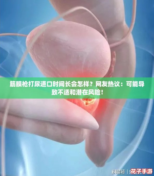 筋膜枪打尿道口时间长会怎样？网友热议：可能导致不适和潜在风险！