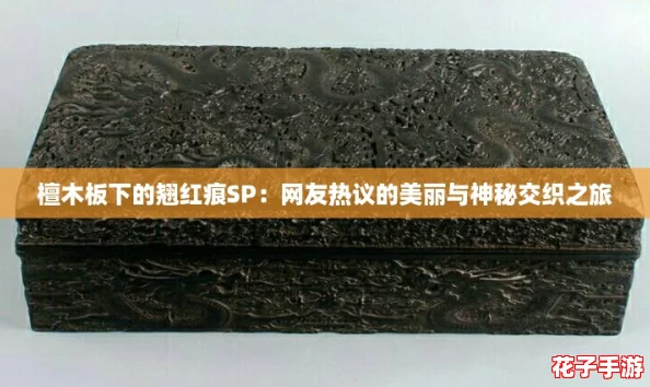 檀木板下的翘红痕SP：网友热议的美丽与神秘交织之旅
