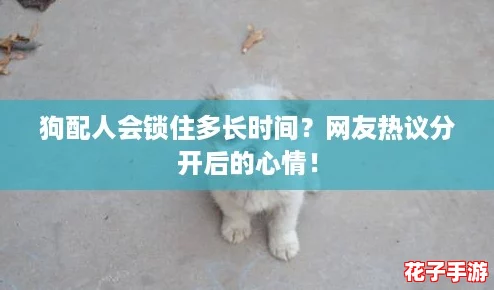 狗配人会锁住多长时间？网友热议分开后的心情！
