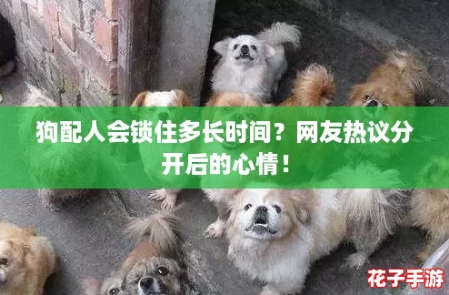 狗配人会锁住多长时间?网友热议分开后的心情! 狗配人会锁住多长时间?网友热议分开后的心情!