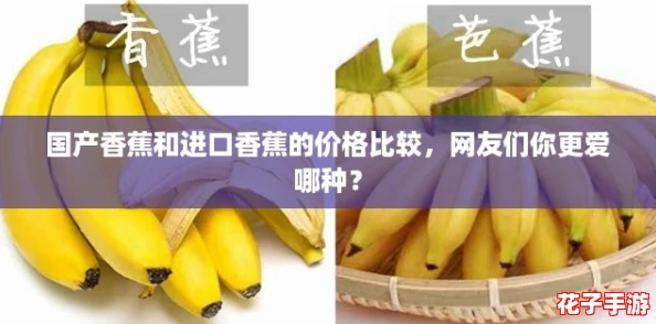 国产香蕉和进口香蕉的价格比较，网友们你更爱哪种？