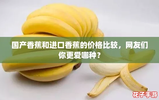 国产香蕉和进口香蕉的价格比较，网友们你更爱哪种？