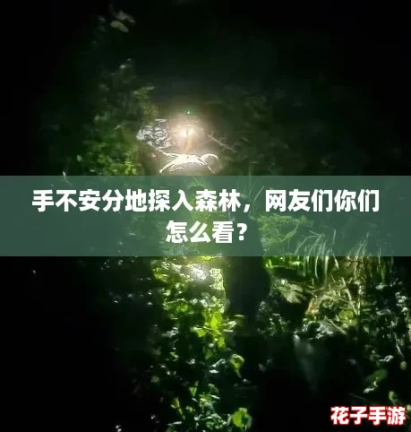 手不安分地探入森林，网友们你们怎么看？