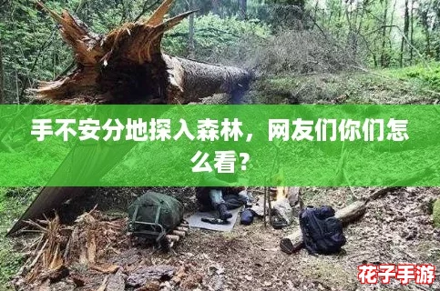 手不安分地探入森林，网友们你们怎么看？