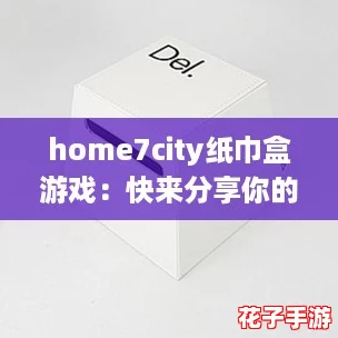 home7city纸巾盒游戏：快来分享你的创意设计与玩法！