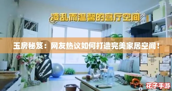 玉房秘笈：网友热议如何打造完美家居空间！