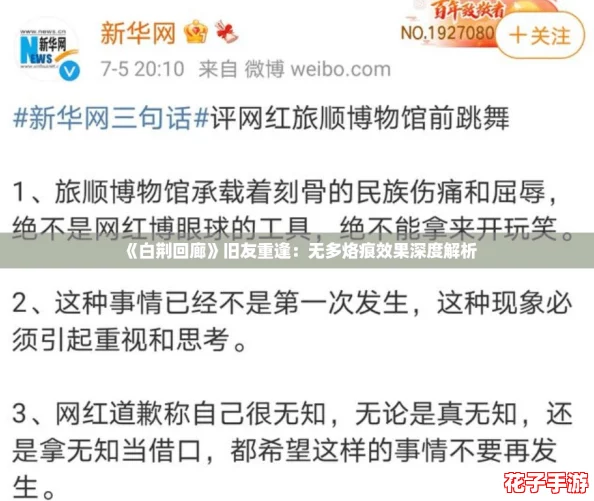 《白荆回廊》旧友重逢:无多烙痕效果深度解析 《白荆回廊》旧友重逢:无多烙痕效果深度解析