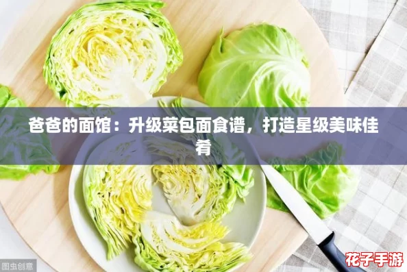 爸爸的面馆：升级菜包面食谱，打造星级美味佳肴