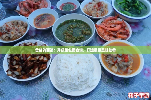 爸爸的面馆:升级菜包面食谱,打造星级美味佳肴 爸爸的面馆:升级菜包面食谱,打造星级美味佳肴