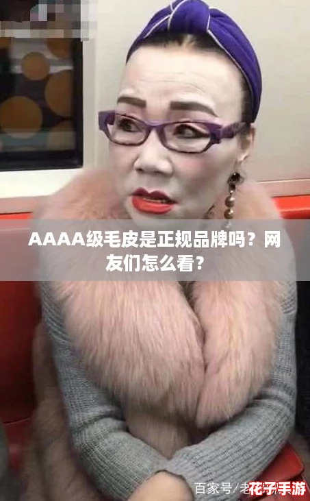 AAAA级毛皮是正规品牌吗？网友们怎么看？