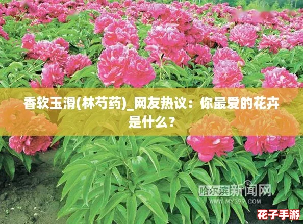 香软玉滑(林芍药)_网友热议:你最爱的花卉是什么? 香软玉滑(林芍药)_网友热议:你最爱的花卉是什么?