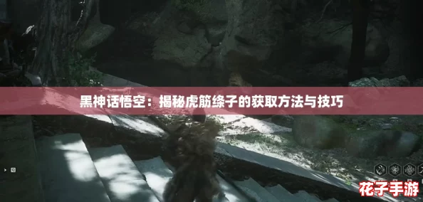 黑神话悟空：揭秘虎筋绦子的获取方法与技巧