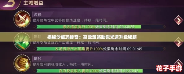 揭秘沙威玛传奇：高效策略助你光速升级秘籍