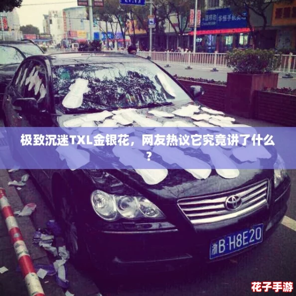 极致沉迷TXL金银花，网友热议它究竟讲了什么？