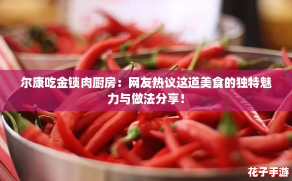 尔康吃金锁肉厨房：网友热议这道美食的独特魅力与做法分享！