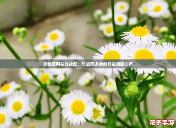 忘忧草网在线社区:与志同道合的朋友畅聊心声 忘忧草网在线社区:与志同道合的朋友畅聊心声