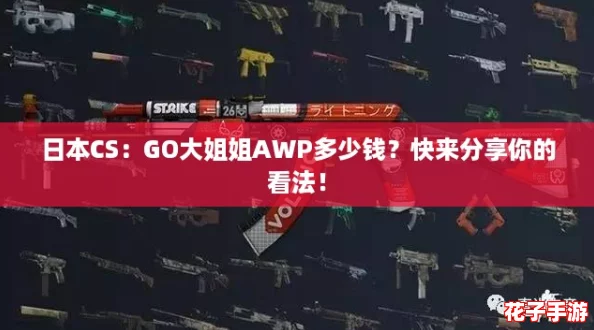 日本CS：GO大姐姐AWP多少钱？快来分享你的看法！