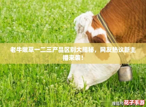 老牛嫩草一二三产品区别大揭秘,网友热议新主播来袭! 老牛嫩草一二三产品区别大揭秘,网友热议新主播来袭!
