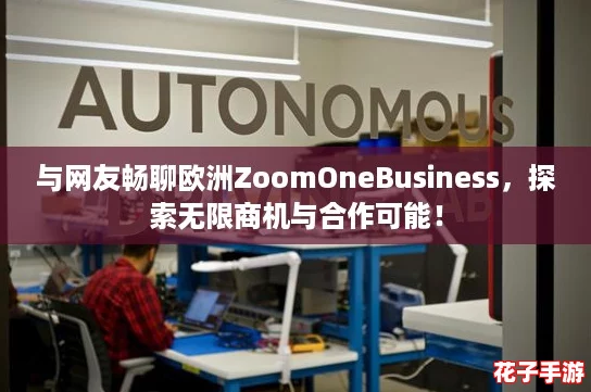 与网友畅聊欧洲ZoomOneBusiness，探索无限商机与合作可能！