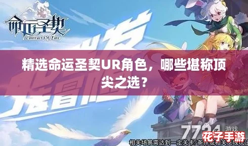 精选命运圣契UR角色，哪些堪称顶尖之选？