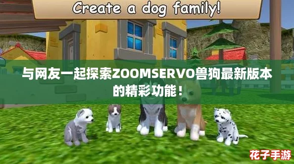 与网友一起探索ZOOMSERVO兽狗最新版本的精彩功能！