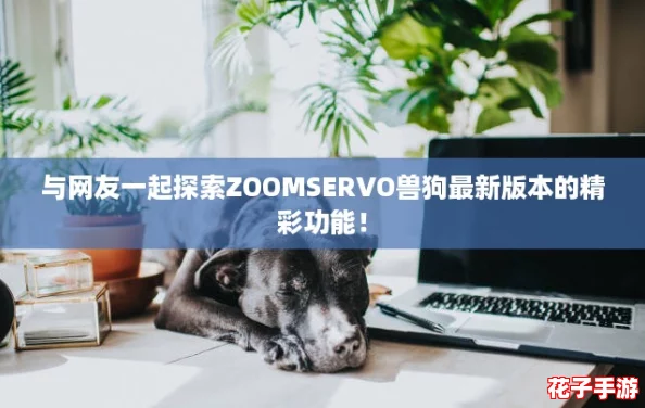 与网友一起探索ZOOMSERVO兽狗最新版本的精彩功能! 与网友一起探索ZOOMSERVO兽狗最新版本的精彩功能!