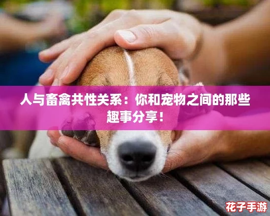 人与畜禽共性关系：你和宠物之间的那些趣事分享！