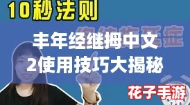 丰年经继拇中文2使用技巧大揭秘,网友们的互动心得分享! 丰年经继拇中文2使用技巧大揭秘,网友们的互动心得分享!