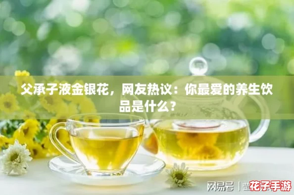父承子液金银花,网友热议:你最爱的养生饮品是什么? 父承子液金银花,网友热议:你最爱的养生饮品是什么?