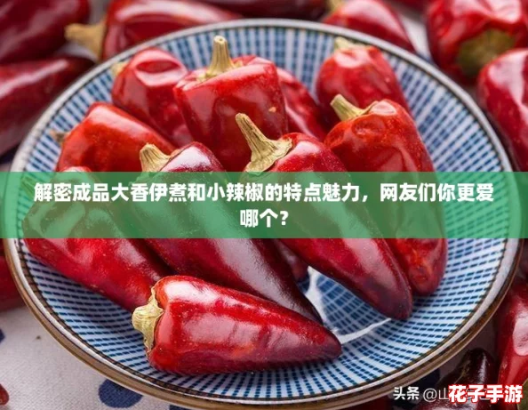 解密成品大香伊煮和小辣椒的特点魅力，网友们你更爱哪个？