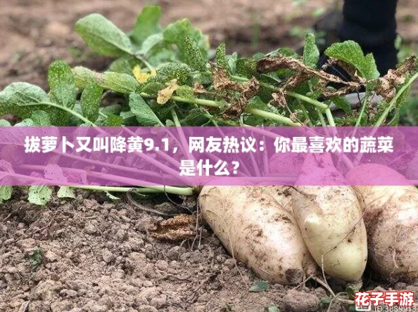 拔萝卜又叫降黄9.1，网友热议：你最喜欢的蔬菜是什么？
