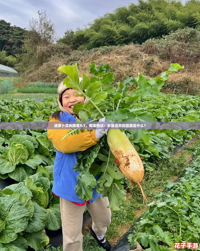 拔萝卜又叫降黄9.1，网友热议：你最喜欢的蔬菜是什么？