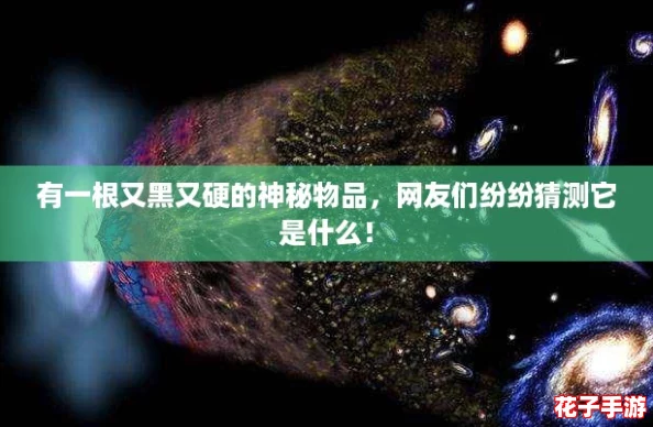 有一根又黑又硬的神秘物品,网友们纷纷猜测它是什么! 有一根又黑又硬的神秘物品,网友们纷纷猜测它是什么!