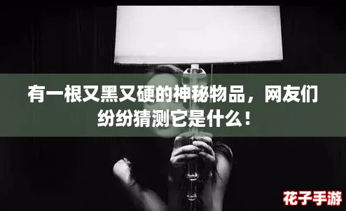 有一根又黑又硬的神秘物品,网友们纷纷猜测它是什么! 有一根又黑又硬的神秘物品,网友们纷纷猜测它是什么!