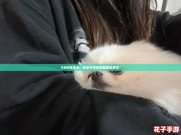 大BW毛毛多，快来分享你的萌宠故事吧！