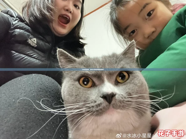 大BW毛毛多，快来分享你的萌宠故事吧！