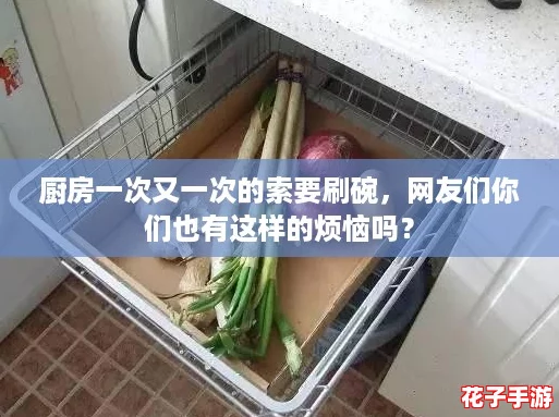 厨房一次又一次的索要刷碗，网友们你们也有这样的烦恼吗？