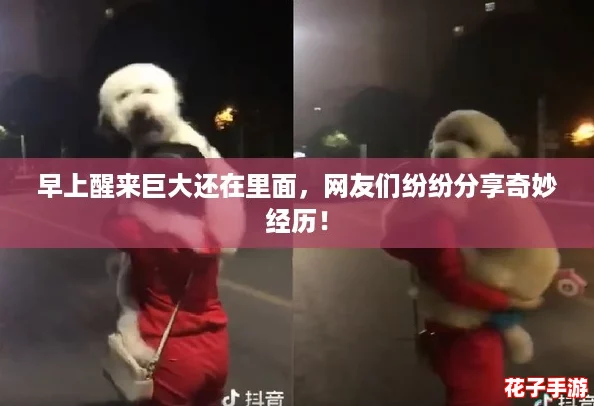 早上醒来巨大还在里面，网友们纷纷分享奇妙经历！