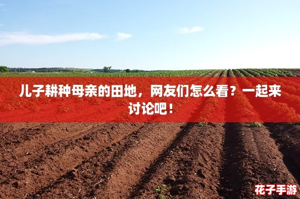 儿子耕种母亲的田地，网友们怎么看？一起来讨论吧！