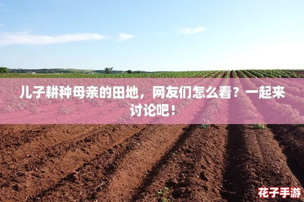 儿子耕种母亲的田地，网友们怎么看？一起来讨论吧！